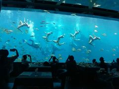 -瑞德姆美人鱼海底演艺主题餐厅(亚龙湾店)