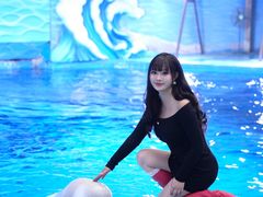 -海合安成都极地海洋公园
