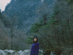 -青峰峡国家森林公园