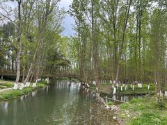 -桤木河湿地公园