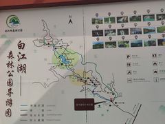 -广州白江湖森林公园