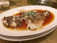 清蒸笋壳鱼-金时代顺风大酒店(协泰店)