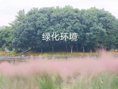 -映月湖公园