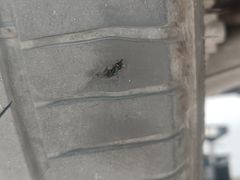 -北京宝诚宝马4S店