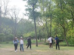 -西湖风景区十里琅珰-五云山