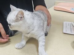 -艾贝尔宠物医院 ·内科全科(梁溪路店)