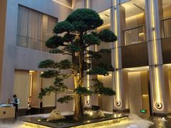 -外滩·云南人家(昆明旗舰店)