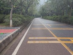 -东莞市大岭山森林公园
