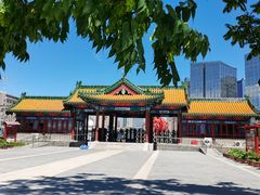 -莲花池公园