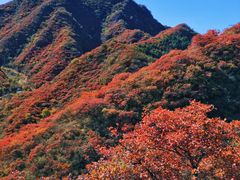 -水峪民俗村