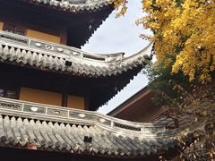 -龙华素斋(龙华路店)