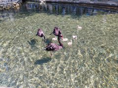 -水磨沟公园