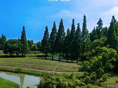 -花开海上生态园