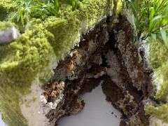-5Cake五度无蔗糖低脂蛋糕(陶然亭店)