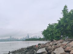 -深圳湾公园(南山区)