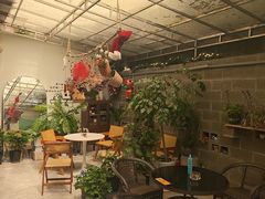 -树咖啡tree coffee