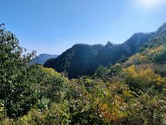 -大岭沟猕猴桃谷风景区