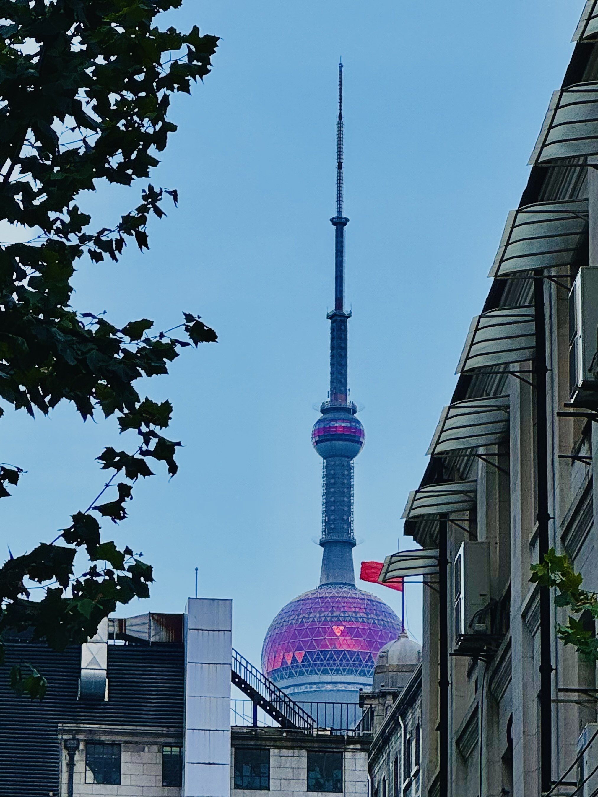 71路公交番禺路直达外滩专线超舒适