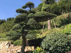 -径山寺