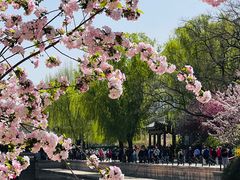 -元大都城垣遗址公园