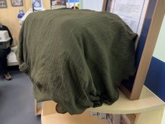 -申普宠物医院·心脏介入·心血管微创(总院)