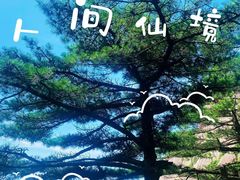 -黄山风景区