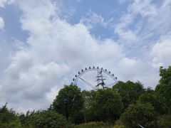 -宜兴龙背山森林公园
