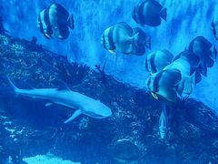 -海合安成都极地海洋公园