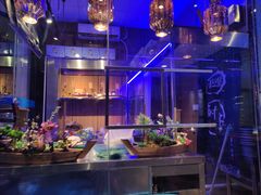 -千岛蚝高压锅生蚝·人参火锅(白云万达店)