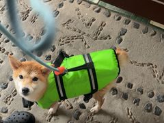 -安吉龙王山峡谷漂流