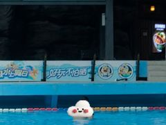 -青岛东方影都融创水世界