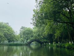 -西湖游船