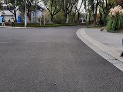 -昆山城市生态森林公园