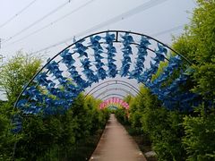 -紫颐香薰山谷景区