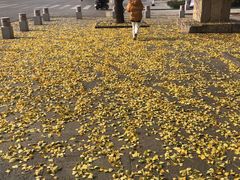 -赖扁担重庆小面(虎山路店)