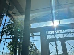 -普兰达德国餐厅·德式脆皮烤猪肘·自酿啤酒(观唐店)