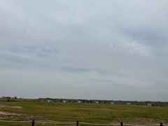 -盐城丹顶鹤湿地生态旅游区