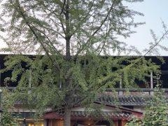 -九尺赵老四鲜鹅肠火锅
