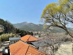 -崂山九水游览区