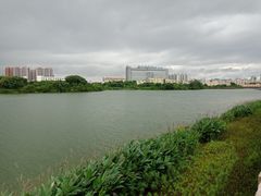 -立新湖公园
