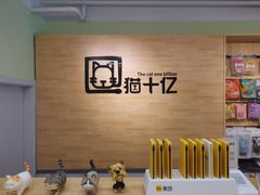 -猫十亿·布偶金渐层·曼基康矮脚猫舍(青年路店)
