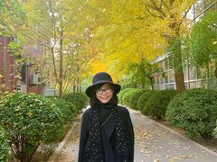 -三里屯东五街银杏大道