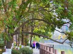 -成都市活水公园