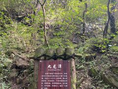 -少华山国家森林公园