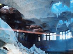 -帝企鹅自助餐厅•儿童岛•真企鹅(长隆企鹅酒店)