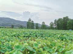 -四明湖