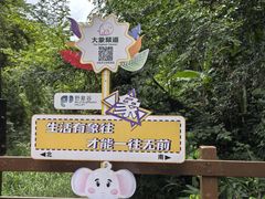 -野象谷景区