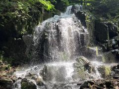 -本溪汤沟绿石谷森林公园
