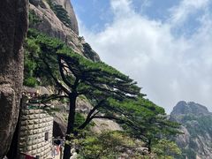 -黄山风景区