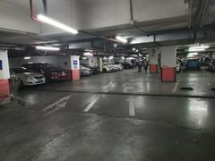 -中山公园-龙之梦停车场